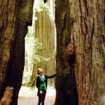 Jen Swanson - @jswanson206 - Instagram