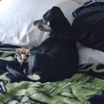 Jen Swanson - @lil_bit_0211 - Instagram