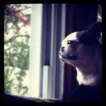 Jen Swanson - @jenwildcat - Instagram