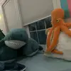 jenterry - @jenterry - TikTok