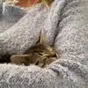 Jen Thomson - @jen.thomson20 - TikTok