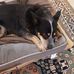 Jen Thomson - Facebook