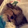 Jennifer Tidwell - @jennifer.tidwell - TikTok