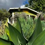 Jen Tucker - @mybungalow - Instagram