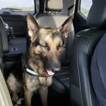 Jen Upton - @pupperdudeobi - Instagram