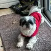 jenuptonwrites - @jenuptonwrites - TikTok