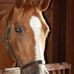 Jen Waller - Facebook