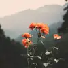 _jen_walters - @jenellewalters3 - TikTok