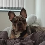jen welsh - @jenwelsh88 - Instagram
