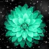 jenwharton175 - @jenwharton175 - TikTok