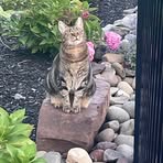 Jen Wheeler - Facebook