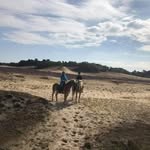 Jenwillis - @jenwillis07 - Instagram