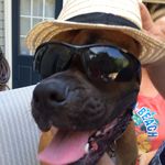 jena Nelson - @djlnelson3 - Instagram