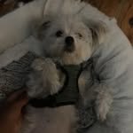 Jena Robinson - @i_love_kurly_fries - Instagram