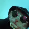 Genaro.Oquendo - @genarooquendokvitqlst - TikTok