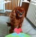 Jane White - Facebook