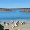 Jenelle Ross - @jenelle.ross - TikTok