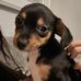 Jeni Clark - Facebook