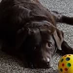 Jeni Davis - @jeni.davis.148 - Instagram