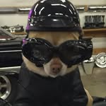 Jeni Davis Kimball - @jenkimball - Instagram