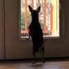 Jennifer Gregory - @jennifergregory030678 - TikTok