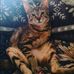 Jeni Harris-Joyce - Facebook
