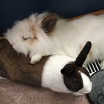 Jen Walker - @guidemd3 - Instagram