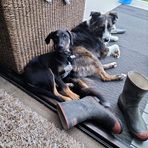 Jeni Walker - Facebook