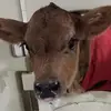 Jenni Walker - @jenni.walker1 - TikTok