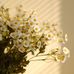 Jenice Lee - Facebook