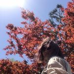 YunXin Lee - @jeniceleeyxx - Instagram