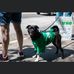 Jennifer Beck - Facebook