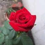 Jennifer Bernabe - Facebook