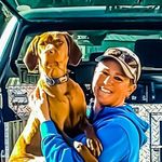 Jennifer Bird - @diehardgundogs - Instagram