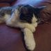 Jennifer Blake - Facebook