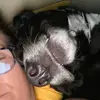 Jennifer Boone - @jenniferboone78 - TikTok