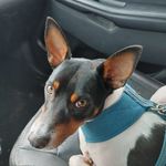 Jennifer Booth - @jennifer.booth.581 - Instagram