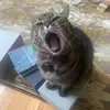 Jennifer Britt - @jenniferbritt70 - TikTok