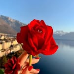 Jenifer Brown - @jeniferbrown200 - Instagram