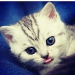 jenylove - @jeniferbush70 - Instagram