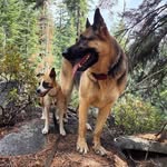 Jenifer Schwartz Casey - @jeniferscasey - Instagram