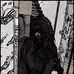 Jenifer Chapman - Facebook
