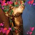 Jennifer Chapman - Facebook