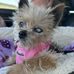 Jennifer Combs - Facebook