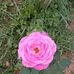 Jennifer Conley - Facebook