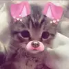 Jennifer Conley - @jennifer.conley35 - TikTok