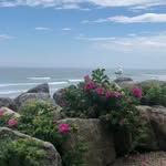 Jennifer Gay Conley - @jenniferconleyrealtor - Instagram