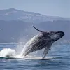 Jennifer Conway - @jennifer.conway854 - TikTok