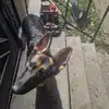 Jennifer Cook - @jennifer.cook53 - TikTok