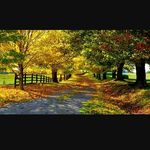 jenifer peters cowan - @jeniferpeterscowan - Instagram